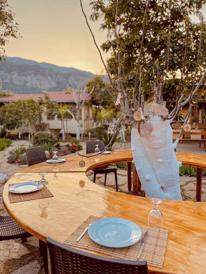Oase Garden Hotel Çıralı Exteriér fotografie